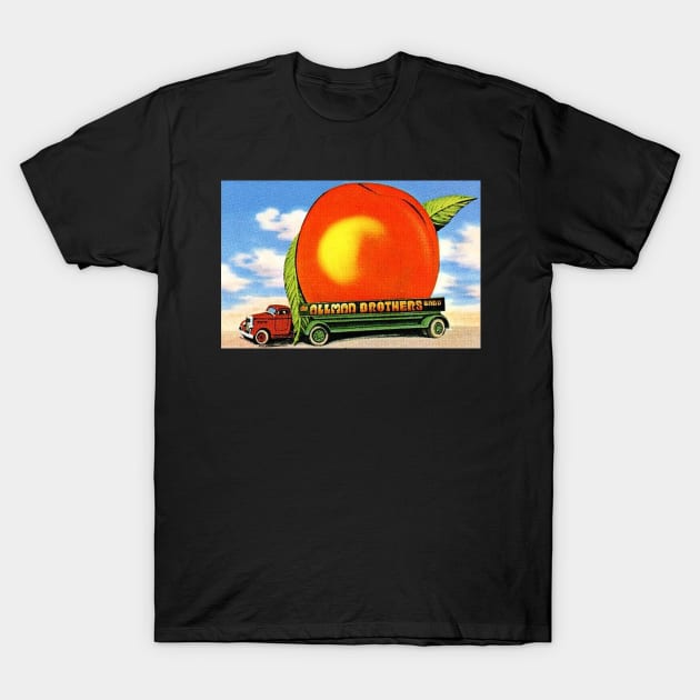 Allman brother T-Shirt by QDRC.ART